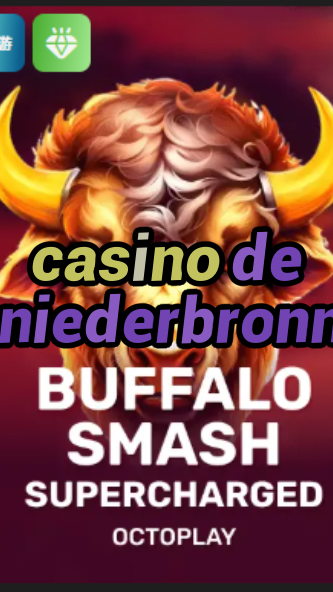 casino de niederbronn-w4cy2mdjlx2bf.com
